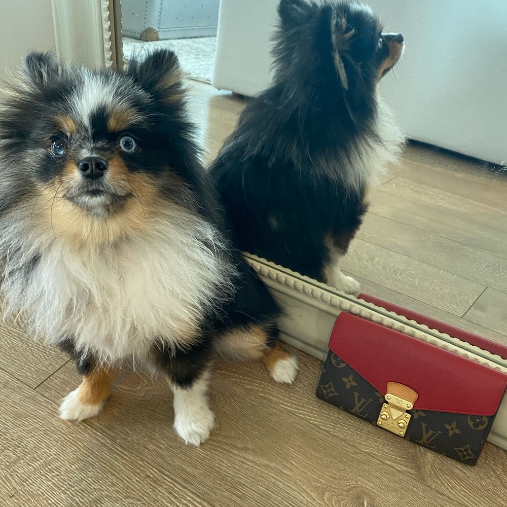 Louis Vuitton Pallas Wallet Cerise